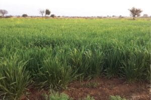 List of villages in Chakwal 3 List of villages in Chakwal